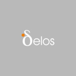 delos-servizi